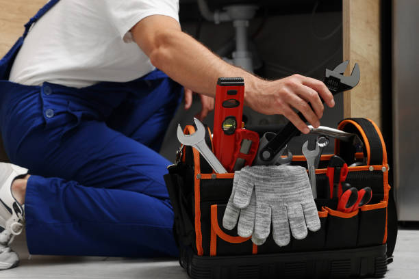  Manchester, MI Plumbing Pros